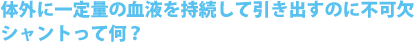 体外に一定量の血液を持続して引き出すのに不可欠 シャントって何？